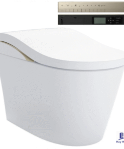 Bồn Cầu Thông Minh TOTO CS911VT/TCF87320GAA/T53P100VR Neorest LS