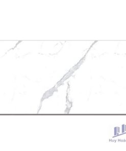 Gạch Vietceramics 60×120 612APSA