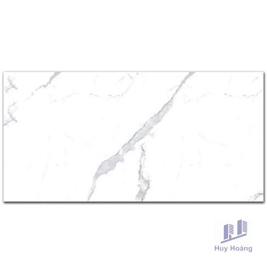 1-2589.jpg Gạch Vietceramics 60×120 612APSA - Ảnh 1