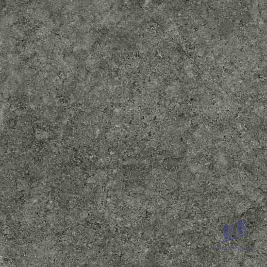 1-2666.jpg Gạch Vietceramics 60×60 600SM8H9D - Ảnh 1