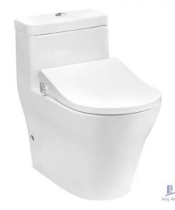 Bàn Cầu TOTO CW166RB/TCW09S Nắp Rửa Cơ  Chữ D