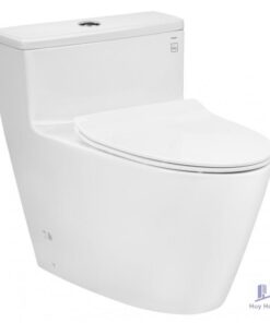 Bồn Cầu TOTO MS625DT8 1 Khối Nắp Êm TC600VS