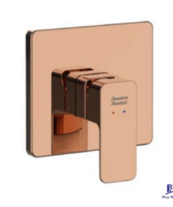 Van Điều Chỉnh American Standard WF-1322WS (WF1322WS) Âm Tường Acacia