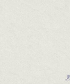 Gạch Taicera 80x80 P87542N