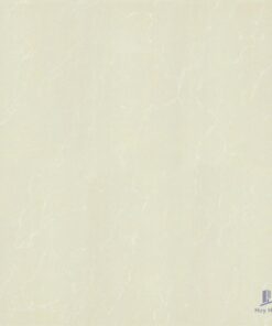 Gạch Taicera 80x80 P87763N