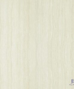 Gạch Taicera 80x80 P87202N
