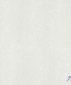 Gạch Taicera 60x60 H68312