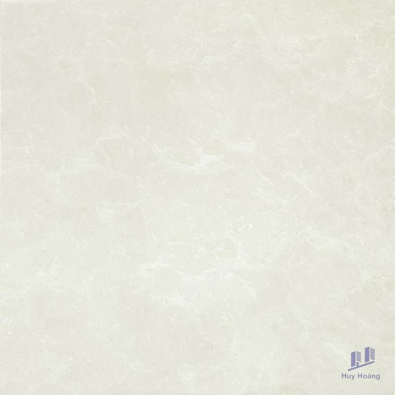 1-3858.jpg Gạch Taicera 60x60 P67663N - Ảnh 1