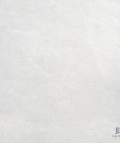 Gạch Taicera 60x60 P67662N