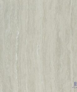 Gạch Taicera 60x60 P67208N