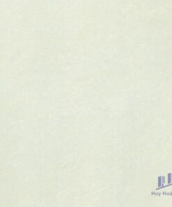 Gạch Taicera 60x60 P67703N