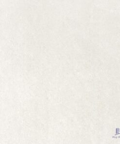 Gạch Taicera 60x60 P67702N