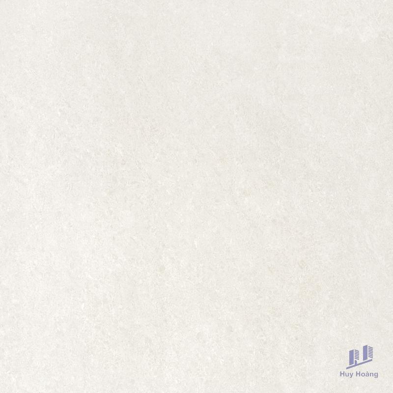 1-3865.jpg Gạch Taicera 60x60 P67702N - Ảnh 1