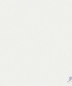 Gạch Taicera 60x60 P67615N