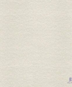 Gạch Taicera 60x60 G68525