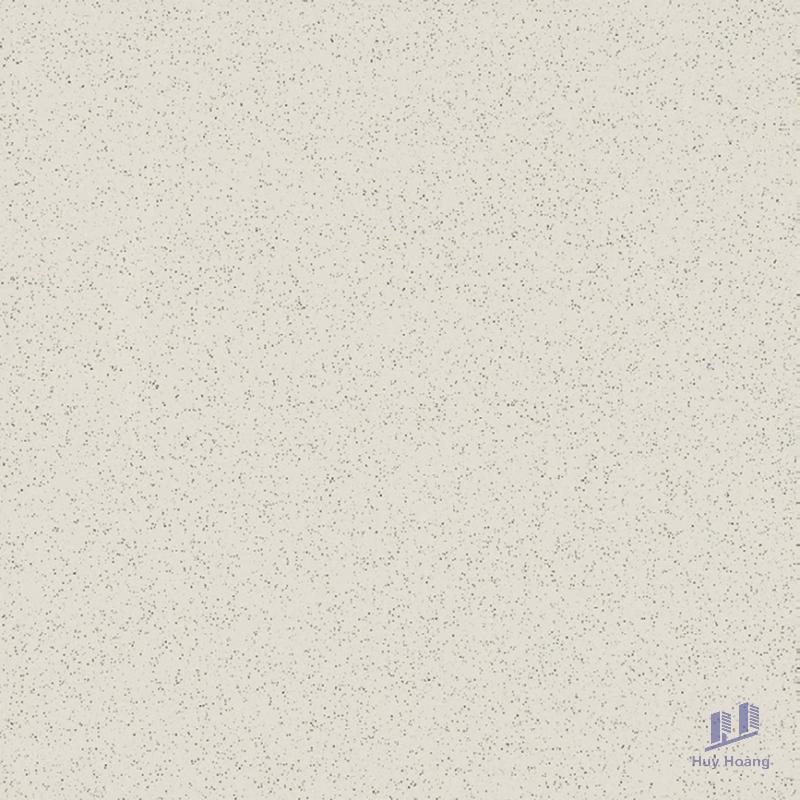 1-3883.jpg Gạch Taicera 60x60 G68005 - Ảnh 1