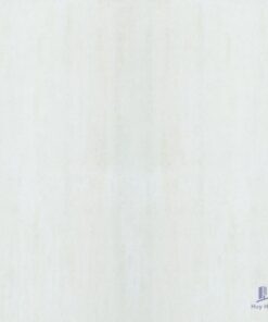 Gạch Taicera 60x60 G68935