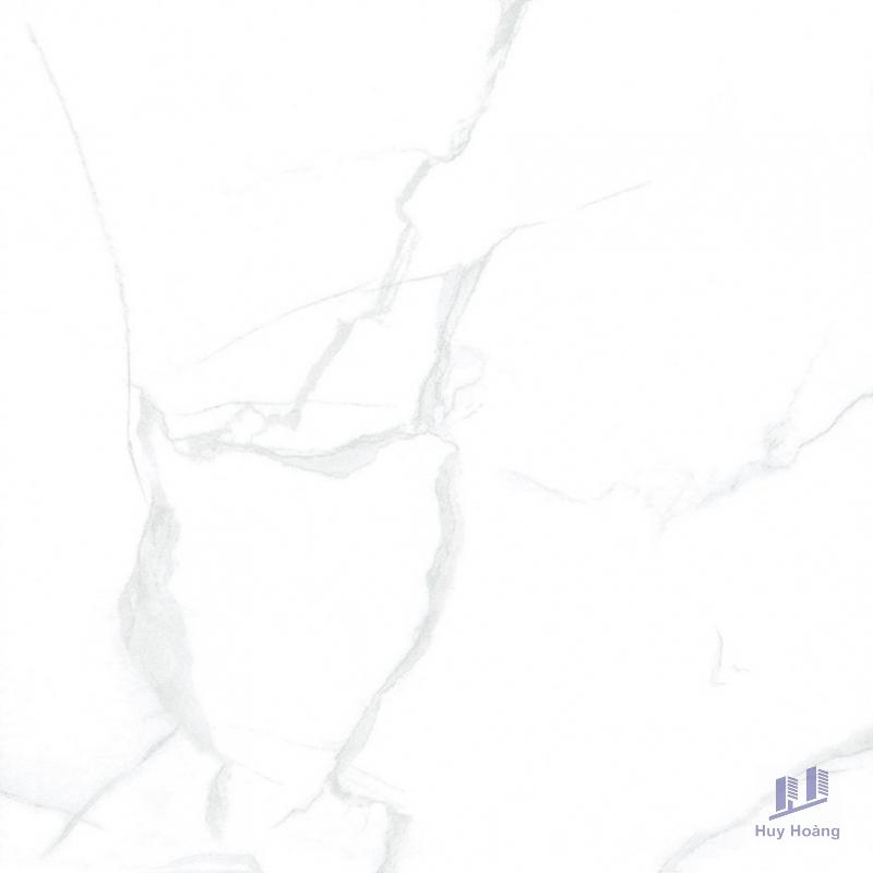 1-3902.jpg Gạch Taicera 60x60 GP68085 - Ảnh 1