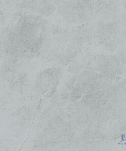 Gạch Taicera 60x60 G68848