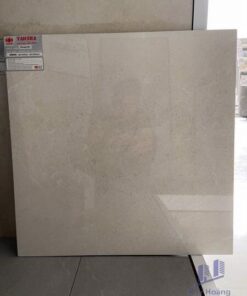 Gạch Taicera 60x60 GS68845