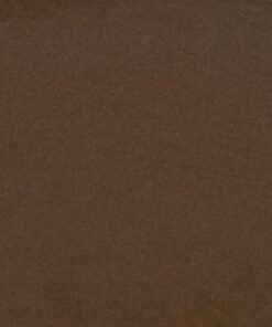 Gạch Taicera 30x60 G63911