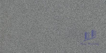 Gạch Taicera 30x60 G63028