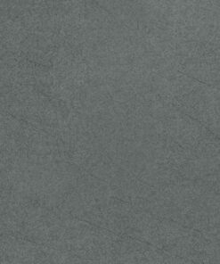 Gạch Taicera 30x60 G63918