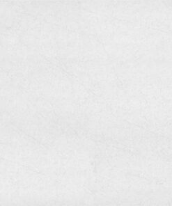 Gạch Taicera 30x60 G63915