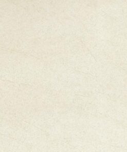 Gạch Taicera 30x60 G63913