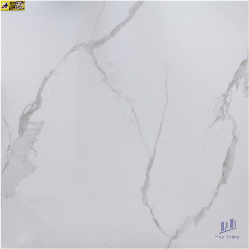 1-4228.jpg Gạch 80X80 lát nền nhập khẩu W1667PM - Ảnh 1