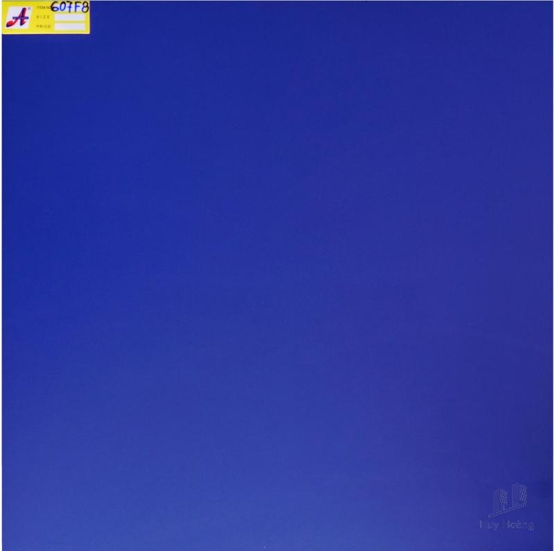 1-4305.jpg Gạch 60X60 lát nền nhập khẩu 607F8 - Ảnh 1