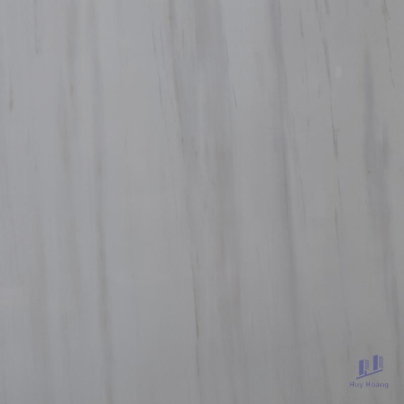 1-4309.jpg Gạch 60X60 lát nền nhập khẩu 6379 - Ảnh 1