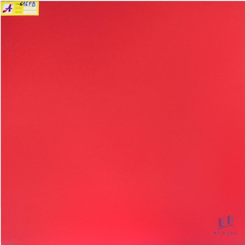 1-4310.jpg Gạch 60X60 lát nền nhập khẩu 616F8 - Ảnh 1