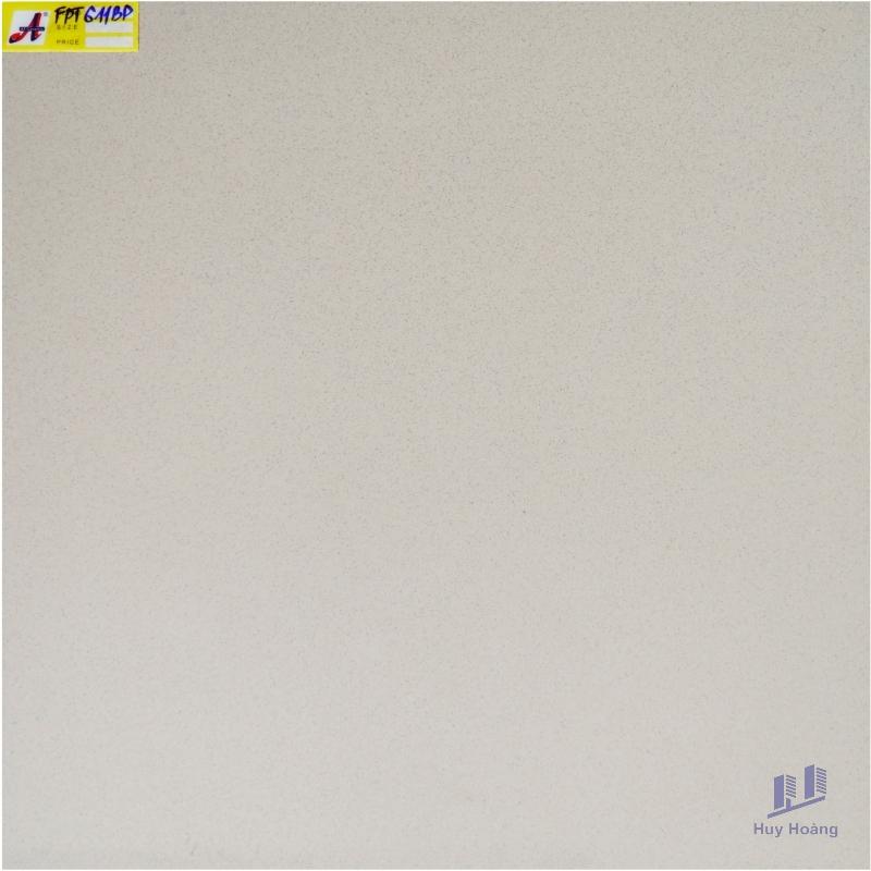 1-4335.jpg Gạch 60X60 lát nền nhập khẩu FTP611BP - Ảnh 1