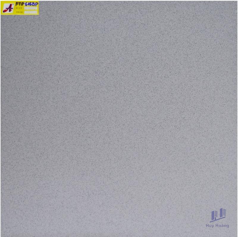 1-4339.jpg Gạch 60X60 lát nền nhập khẩu FTP616BP - Ảnh 1