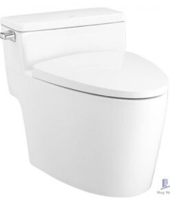 Bồn Cầu COTTO C105257 1 Khối Xả Gạt