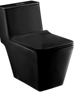 Bồn Cầu COTTO C1032(MBK) 1 Khối Xả Nhấn Màu Đen