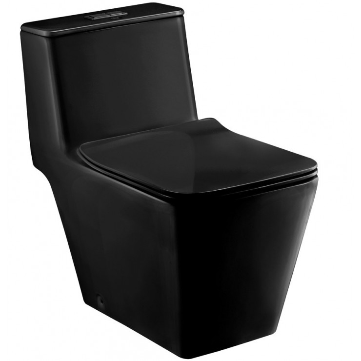 1-4462.jpg Bồn Cầu COTTO C1032(MBK) 1 Khối Xả Nhấn Màu Đen - Ảnh 1