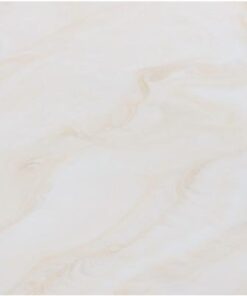 Gạch ốp lát Trung Quốc 60x120 HCT126004