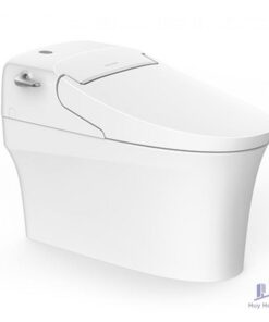 Bồn Cầu Điện Tử American Standard WP-5017 (WP5017) Aerozen G2