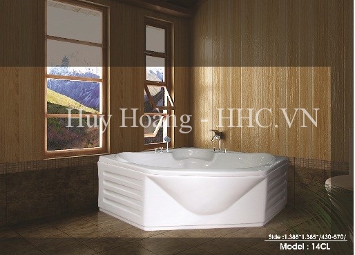 1-5762.jpg Bồn tắm massage Việt Mỹ 14CL - Ảnh 1
