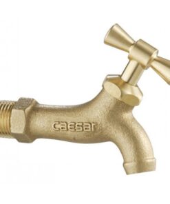 Vòi Lạnh Gắn Tường CAESAR W034 (Ø21)