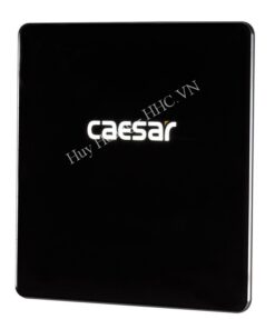 Bộ Xả Tiểu Cảm Ứng Caesar A654 Âm Tường