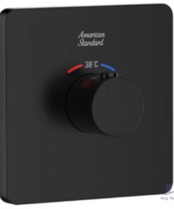Bộ Trộn Nhiệt Độ American Standard FFAS0930MB Âm Tường EasySET Màu Đen