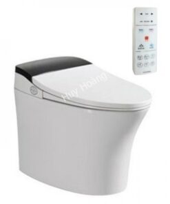 Bồn Cầu Thông Minh Viglacera V93.WB