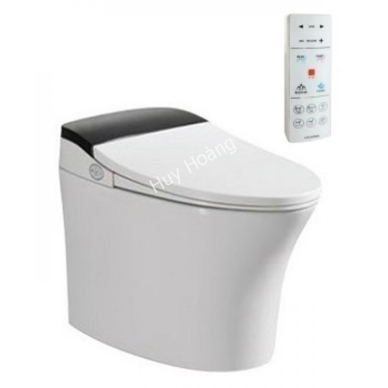 1-8961.jpg Bồn Cầu Thông Minh Viglacera V93.WB - Ảnh 1