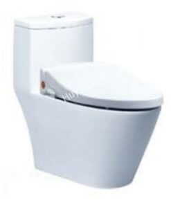 Bồn Cầu Nắp Rửa Cơ CAESAR CD1363/TAF050 1 Khối