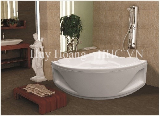 1-29.jpg Bồn tắm Việt Mỹ 12G - Ảnh 1