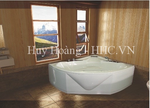 1-41.jpg Bồn tắm Việt Mỹ 14TN - Ảnh 1